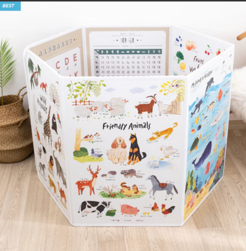 GOVIE l MyAunt Children's Folding Screen Ako Poster (SayPen compatiable) • 마이앤트 아코포스너 양면 한글 영어 학습벽보