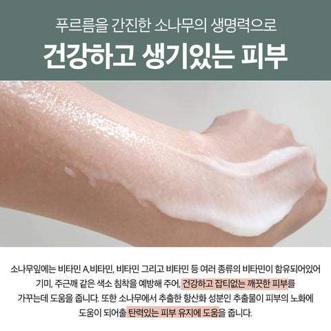 알리원 l FACE POLISH PEELING GEL ORIENTAL PINE TREE • 페이스 폴리쉬 필링젤 오리엔탈 파인트리 120ml